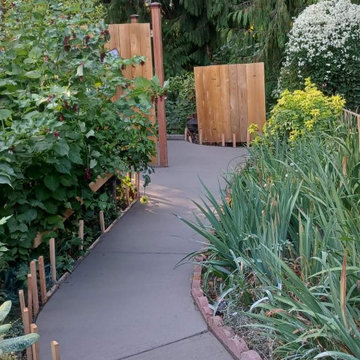 Concrete Walkways and Green House