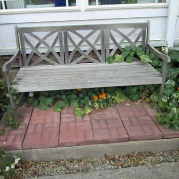 Beth's Gardens 2024