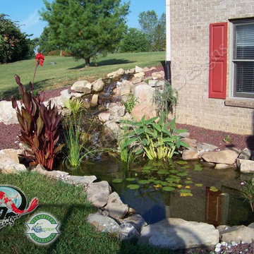 KOI Pond, Backyard Pond & Small Pond Ideas for your Kentucky Landscape