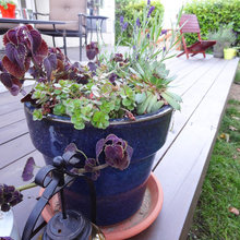 Outdoor Spaces