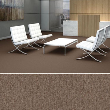 Shaw Philadelphia Net Terms Big Bang! 54585 Commercial Carpet