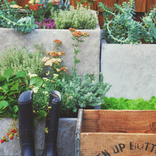 Denny side Garden