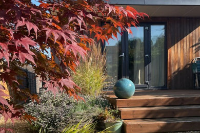 Contemporary garden shed and building in Hertfordshire.