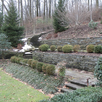 Backyard Escape