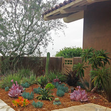 Sidewalk and Sideyard Landscape