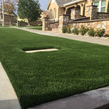 Eco Olive 80 in Corona, CA