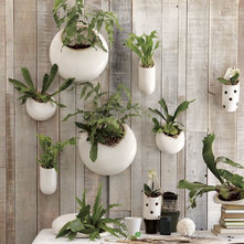 Contemporary Indoor Pots And Planters by West Elm