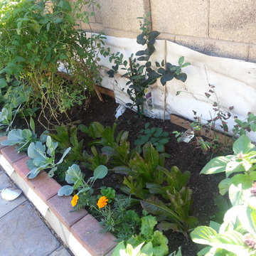 2nd year growing system established