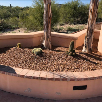 Poolside Desert Landscaping