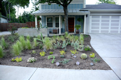 Photo of a modern landscaping in Austin.