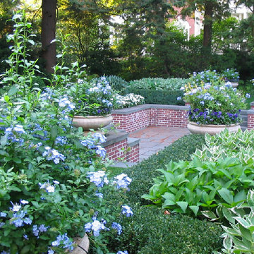 Chestnut Hill