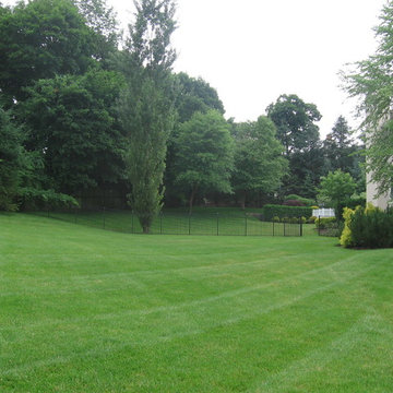 Lawn Maintenance