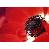 Cassandra Pinson's photo