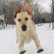 Mike Sarvis's photo