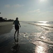 Betsy Barrett's photo