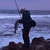 Richard Pietromonaco's photo