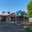 Mary Martin