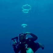 Henry Singletary's photo
