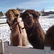 Jami Jensen's photo