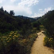 Paige Thomas's photo