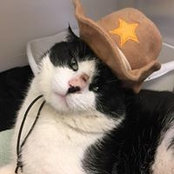Melissa Allison Petrovich's photo