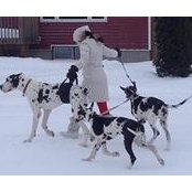 Krista Pulkinen's photo