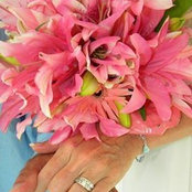 Wendy Graham-Madeira's photo