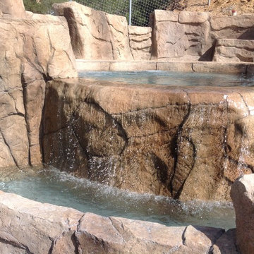 The Bailey Pool and Oasis