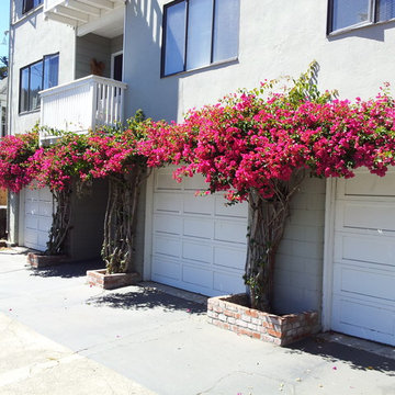 Landscape Design & Installation