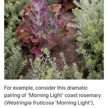 Landscape Ideas