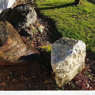 Rain Garden Landscape Makeover with Lawn Reduction