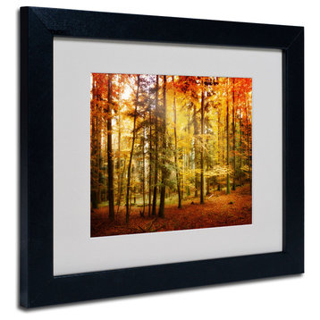 Philippe Sainte-Laudy 'Brilliant Fall Color' Matted Framed Art, White Matte, Black Frame, 11" X 14"