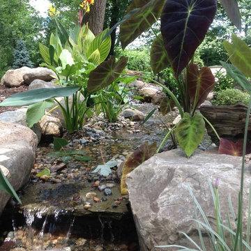 Lost loved one - Dedication Pond