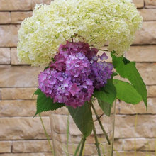 Blumenarrangement