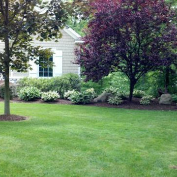 Landscapes with Stone