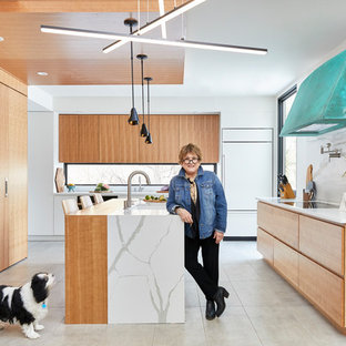 The Artist (Ambler Pa)