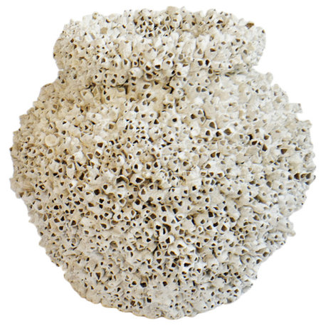 White Barnacle Shell Pot