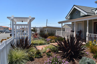 Design ideas for a landscaping in San Luis Obispo.
