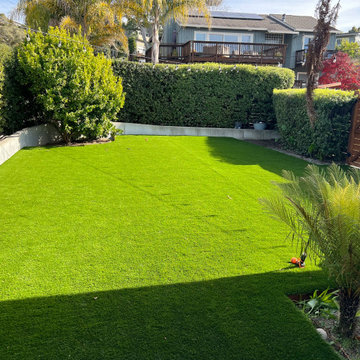 Purchase Green - Monterey Project