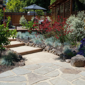 Sunny path