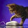 Siphiwe Memela