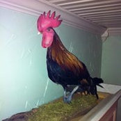 Ted Zeigler's photo