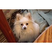 Diane Whitlock's photo
