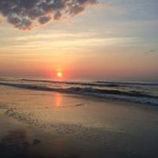 Julie Johnson's photo