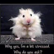 Bob Tobitt's photo