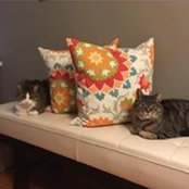 Michelle Kwan's photo