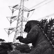Mark Helm's photo