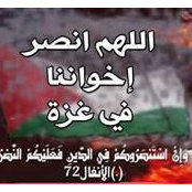 Mahmoud Rushdys foto