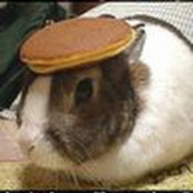 Ellis Parsonage's photo