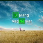 Sarang Vadnerkar's photo